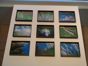 Message to the Mountain, SCANZ:3rd Nature, Puke Ariki Museum, 2013