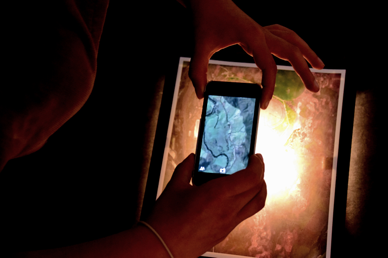 Documentation: Words for Water at PhotoAccess 2014