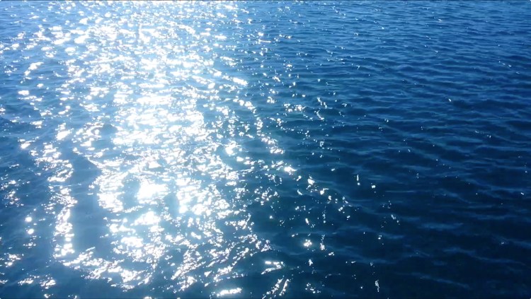 Aura for Words for Water Stage II © Tracey Benson 2014