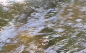 Aotearoa Wai: Aura Image
