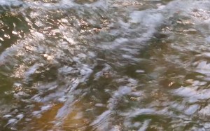 Aotearoa Wai: Aura Image