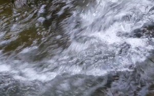 Aotearoa Wai: Aura Image