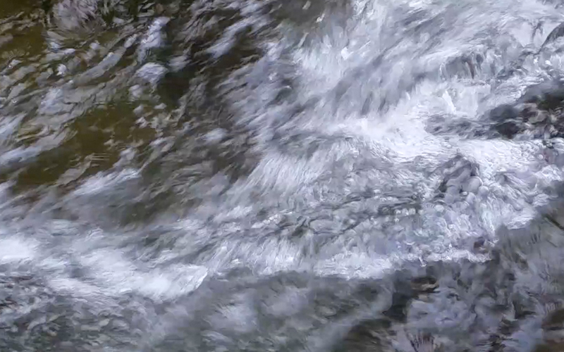 Aotearoa Wai: Words for Water @ SCANZ 2015