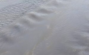 Aotearoa Wai: Aura Image