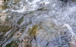 Aotearoa Wai: Aura Image