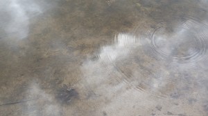 Words for Water: Mary, Stage 5