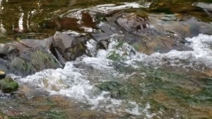 Words for Water: Mary, Stage 5