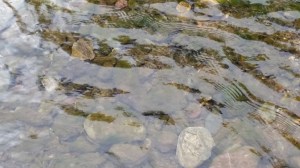 Words for Water: Mary, Stage 5