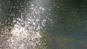 Words for Water: Mary, Stage 5