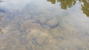 Words for Water: Mary, Stage 5