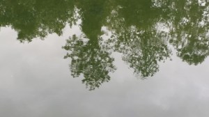 Words for Water: Mary, Stage 5