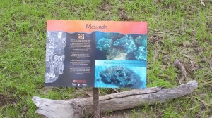 Mounds panel