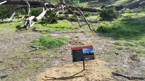 Sand Hills and Burials panel