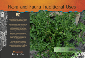 Panel - Traditional Uses of Flora and Fauna