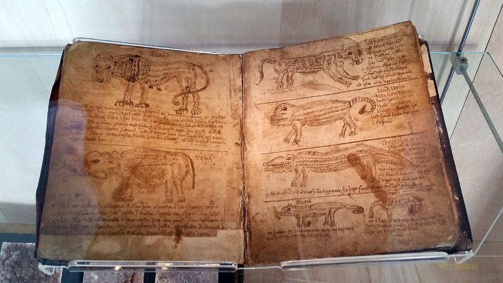 A Visual Account of Earthly Creatures, Elnar Magnússon, 1689