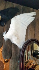 Inside Mink Studio