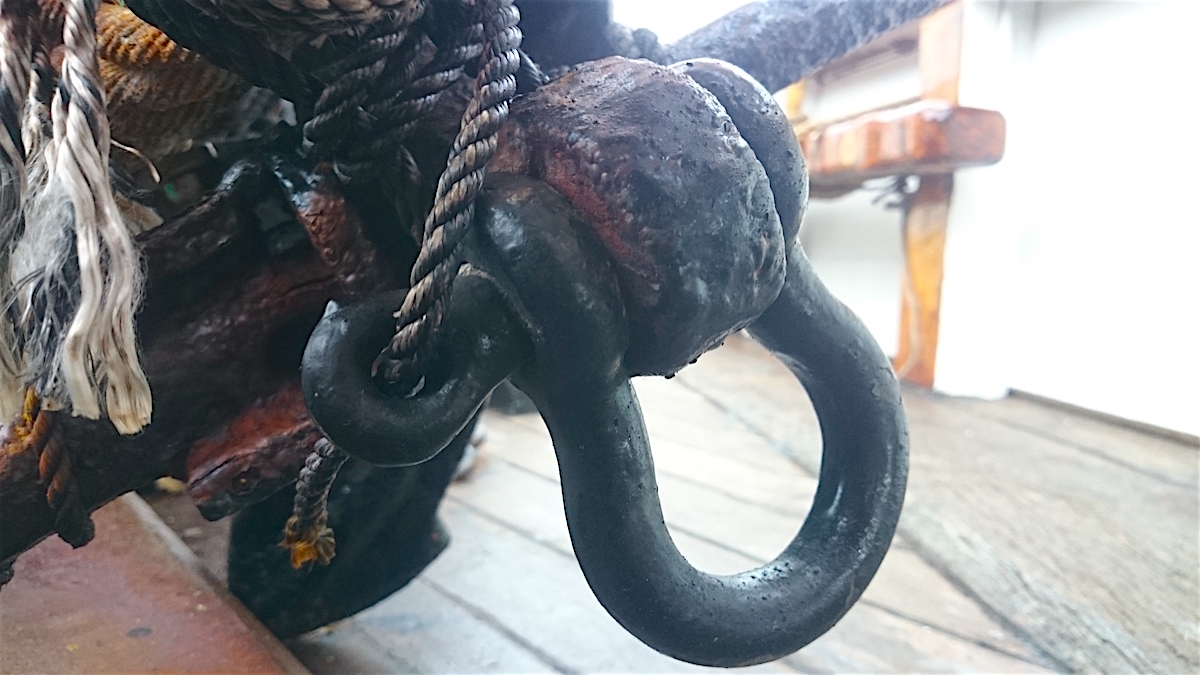 Shackle from the Johanna