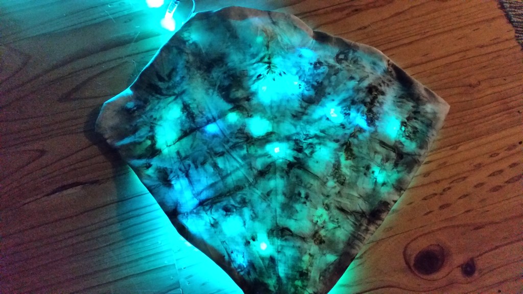 Prototype for Living Green Festival installation, October 2016