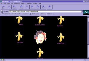 A project about cyber identity for MAAP2000 - Carmen Banana