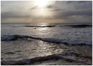 "Changing Tides Series" by Tracey M Benson