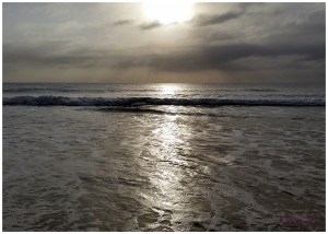 "Changing Tides Series" by Tracey M Benson