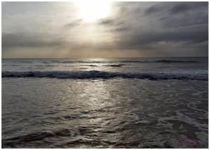 "Changing Tides Series" by Tracey M Benson