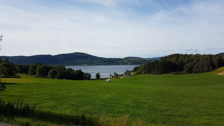 View of the Drammensfjord