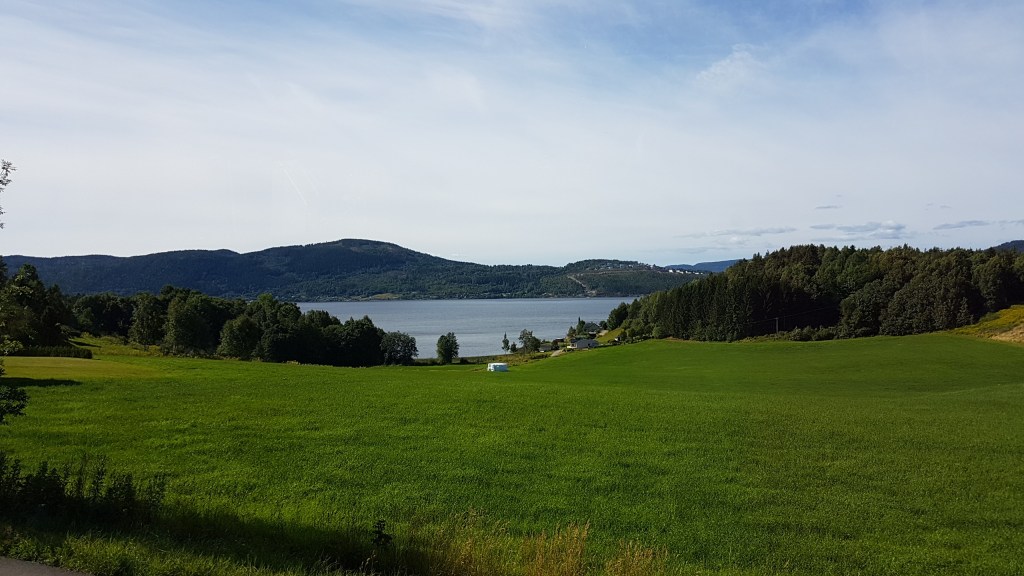 View of the Drammensfjord