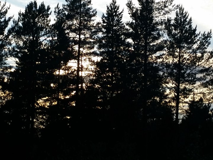 © Tracey M Benson || bytetime