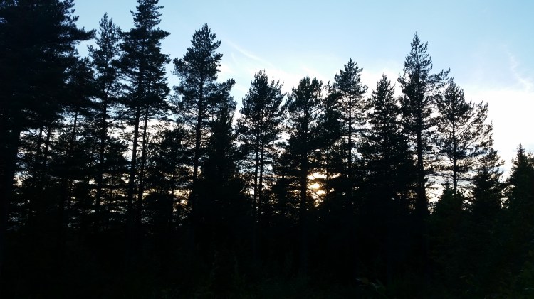 © Tracey M Benson || bytetime