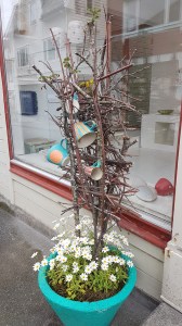 Volda © Tracey M Benson || bytetime