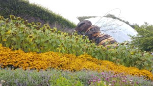 The Eden Project, Photograph © Tracey M Benson