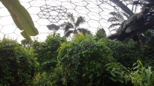 The Eden Project, Photograph © Tracey M Benson
