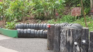 The Eden Project, Photograph © Tracey M Benson