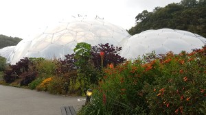 The Eden Project, Photograph © Tracey M Benson