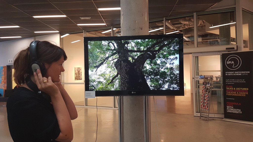 Documentation - Walking with the Ancients, Photograph © Tracey M Benson