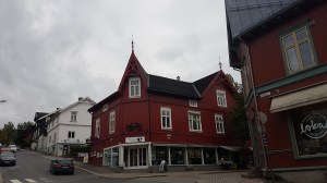 Journey to Lillehammer © Tracey M Benson
