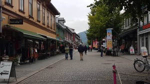 Journey to Lillehammer © Tracey M Benson