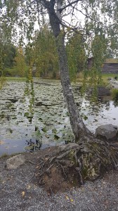 Journey to Lillehammer © Tracey M Benson
