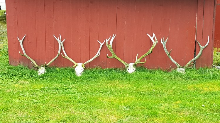 Journey to Urke © Tracey M Benson