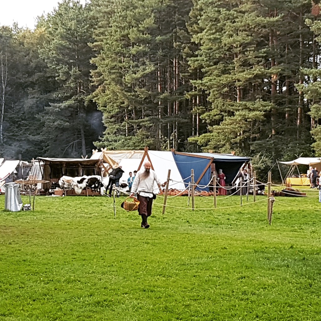 Gjallarstadir Vikingmarked Lillestrøm © Tracey M Benson