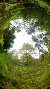 360 Landscape © Tracey Benson