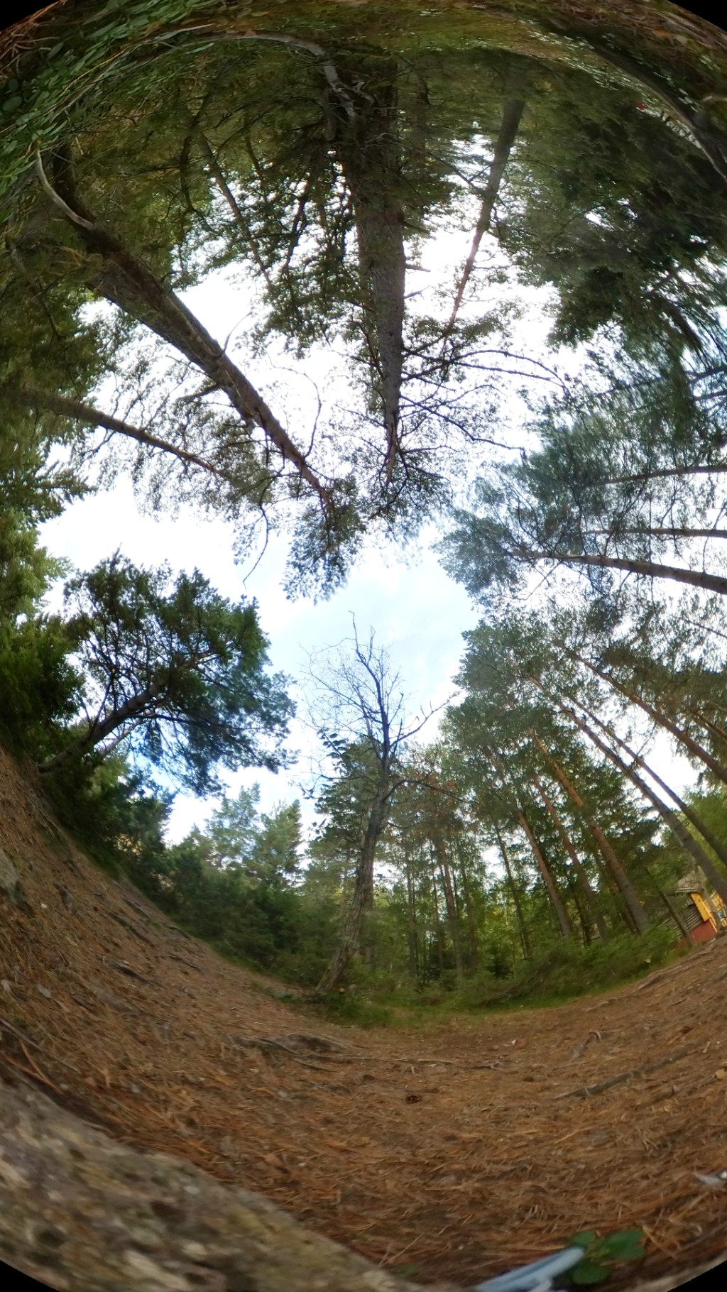 360 Landscape © Tracey Benson