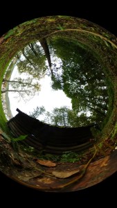 360 Landscape © Tracey Benson