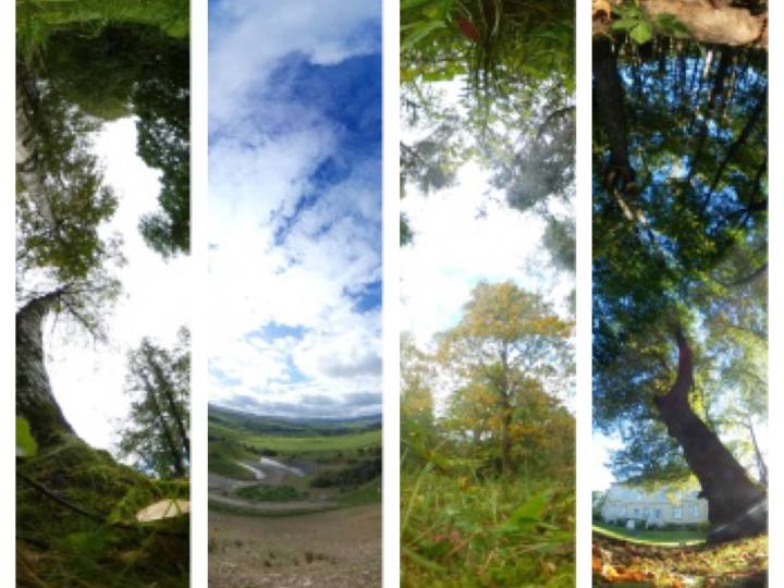 Artwork from Earth to Sky