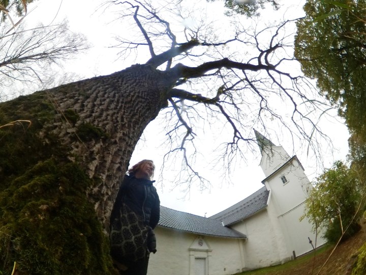 At the Hurum Gamle Kirke © Tracey M Benson 2017