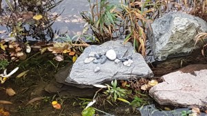 Runes for the Drammenselva © Tracey M Benson