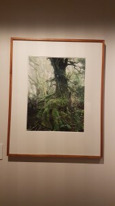 Dombrovskis: Journeys into the Wild. Photo by Tracey M Benson