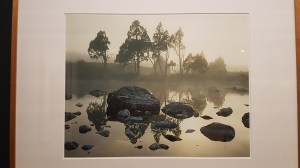 Dombrovskis: Journeys into the Wild. Photo by Tracey M Benson