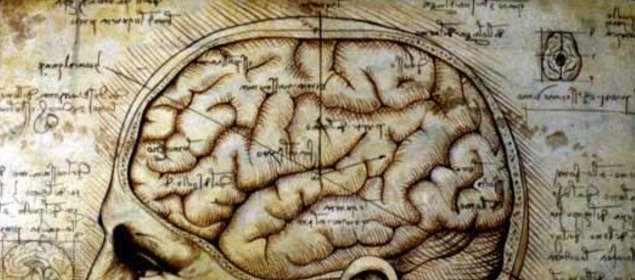 The reluctant scientist: learning pathways and&nbsp;bias